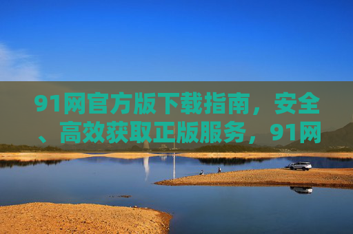 91网官方版下载指南，安全、高效获取正版服务，91网官方版下载指南，安全高效获取正版服务