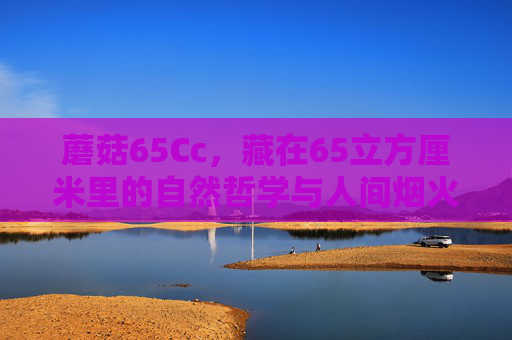 蘑菇65Cc,藏在65立方厘米里的自然哲学与人间烟火,方寸65Cc,蘑菇里的自然哲学与人间烟火 蘑菇65Cc,藏在65立方厘米里的自然哲学与人间烟火,方寸65Cc,蘑菇里的自然哲学与人间烟火