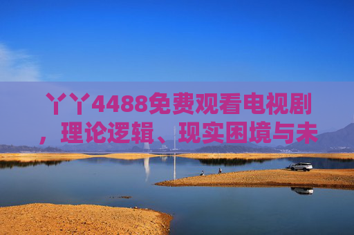 丫丫4488免费观看电视剧，理论逻辑、现实困境与未来走向，丫丫4488免费观看电视剧，理论逻辑、现实困境与未来走向