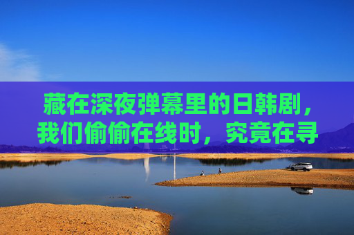 藏在深夜弹幕里的日韩剧，我们偷偷在线时，究竟在寻找什么？深夜弹幕里的日韩剧，我们偷偷在线寻找什么？