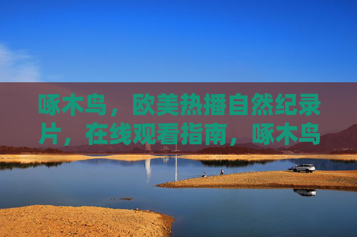 啄木鸟，欧美热播自然纪录片，在线观看指南，啄木鸟，欧美热播自然纪录片在线观看指南