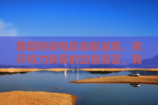 韩国财阀电影未删减版，撕开权力铁幕的血色寓言，韩国财阀电影未删减版，撕开权力铁幕的血色寓言