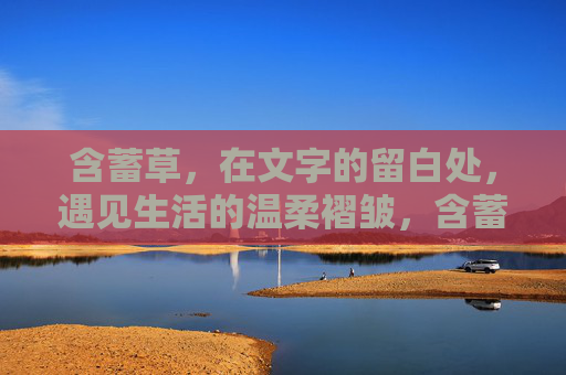 含蓄草,在文字的留白处,遇见生活的温柔褶皱,含蓄草,文字留白处的温柔褶皱 含蓄草,在文字的留白处,遇见生活的温柔褶皱,含蓄草,文字留白处的温柔褶皱