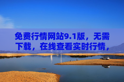 免费行情网站9.1版，无需下载，在线查看实时行情，免费行情网站9.1版，无需下载，在线实时行情