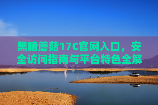 黑暗蘑菇17C官网入口，安全访问指南与平台特色全解析，黑暗蘑菇17C官网入口，安全访问指南与平台特色全解析