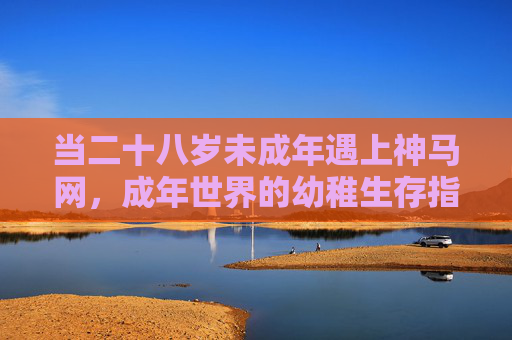 当二十八岁未成年遇上神马网，成年世界的幼稚生存指南