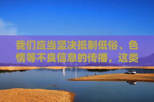 我们应当坚决抵制低俗、色情等不良信息的传播，这类内容不仅违反法律法规，也违背社会公序良俗，对个人和社会都会造成严重的负面影响。网络空间不是法外之地，任何不良信息的制作、传播和观看都是不被允许的，抵制网络低俗信息，守护清朗网络空间
