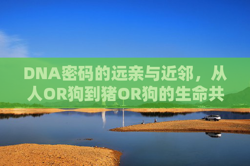 DNA密码的远亲与近邻，从人OR狗到猪OR狗的生命共鸣