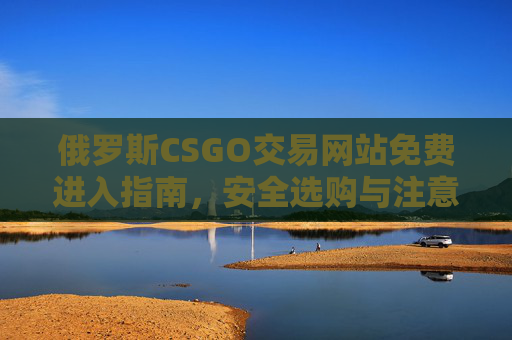 俄罗斯CSGO交易网站免费进入指南，安全选购与注意事项，俄罗斯CSGO交易网站免费进入指南，安全选购与注意事项