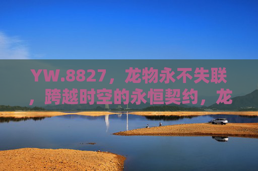 YW.8827，龙物永不失联，跨越时空的永恒契约，龙物，跨越时空的永恒契约