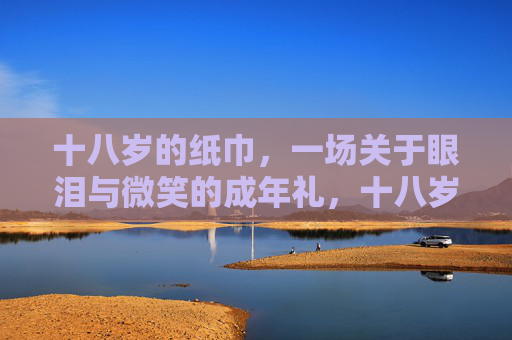 十八岁的纸巾，一场关于眼泪与微笑的成年礼，十八岁的纸巾，泪与笑的成年礼