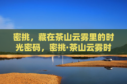 密挑，藏在茶山云雾里的时光密码，密挑·茶山云雾时光密码