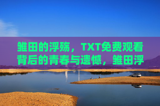 雏田的浮殇，TXT免费观看背后的青春与遗憾，雏田浮殇，青春与遗憾的独白