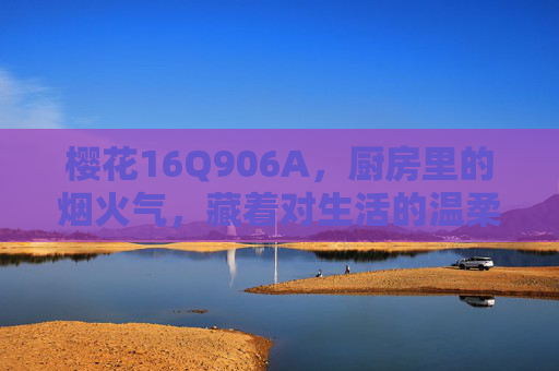 樱花16Q906A，厨房里的烟火气，藏着对生活的温柔，樱花16Q906A，厨房烟火气里的生活温柔