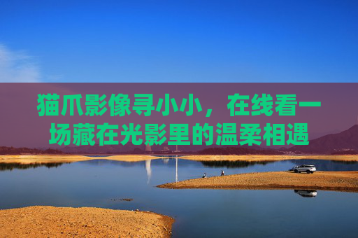 猫爪影像寻小小，在线看一场藏在光影里的温柔相遇