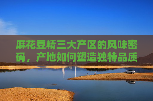 麻花豆精三大产区的风味密码，产地如何塑造独特品质？麻花豆精三大产区的风味密码，产地塑造独特品质