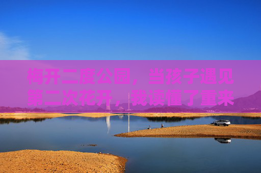 梅开二度公园，当孩子遇见第二次花开，我读懂了重来的温柔，梅开二度，孩子与重生的温柔相遇