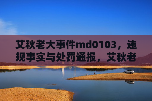 艾秋老大事件md0103，违规事实与处罚通报，艾秋老大事件md0103违规事实与处罚通报