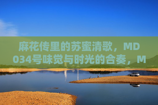 麻花传里的苏蜜清歌，MD034号味觉与时光的合奏，MD034号，味觉与时光的合奏
