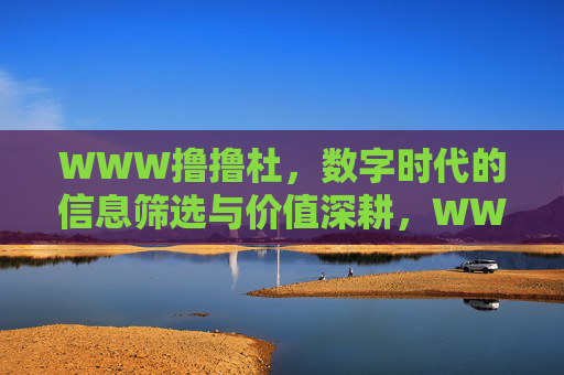 WWW撸撸杜，数字时代的信息筛选与价值深耕，WWW撸撸杜，数字时代的信息筛选与价值深耕