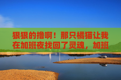 狠狠的撸啊！那只橘猫让我在加班夜找回了灵魂，加班夜狠狠撸橘猫，找回了灵魂