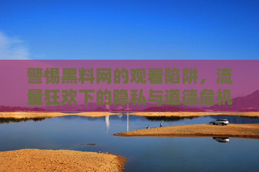 警惕黑料网的观看陷阱，流量狂欢下的隐私与道德危机