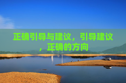 正确引导与建议，引导建议，正确的方向