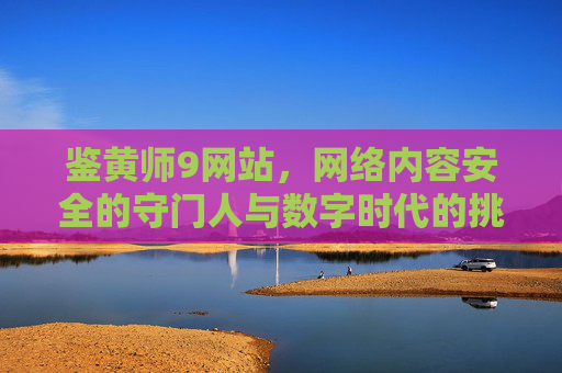 鉴黄师9网站，网络内容安全的守门人与数字时代的挑战，鉴黄师9网站，网络内容安全的守门人与数字时代挑战