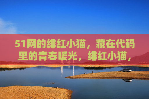 51网的绯红小猫，藏在代码里的青春暖光，绯红小猫，代码里的青春暖光