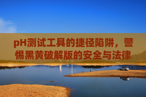 pH测试工具的捷径陷阱,警惕黑黄破解版的安全与法律风险,pH测试工具破解版的捷径陷阱,警惕安全与法律风险 pH测试工具的捷径陷阱,警惕黑黄破解版的安全与法律风险,pH测试工具破解版的捷径陷阱,警惕安全与法律风险