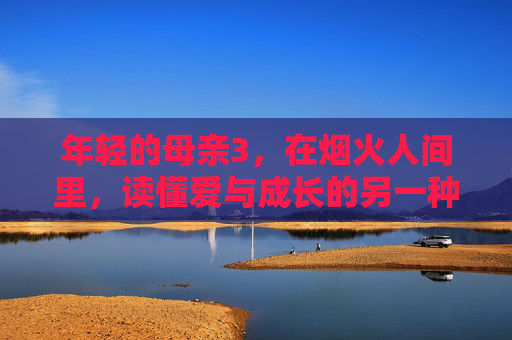 年轻的母亲3,在烟火人间里,读懂爱与成长的另一种模样,年轻母亲的烟火人间,爱与成长的另一种模样 年轻的母亲3,在烟火人间里,读懂爱与成长的另一种模样,年轻母亲的烟火人间,爱与成长的另一种模样