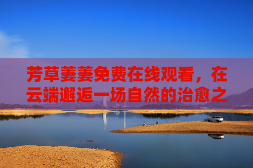 芳草萋萋免费在线观看,在云端邂逅一场自然的治愈之旅,云端邂逅芳草萋萋,治愈之旅 芳草萋萋免费在线观看,在云端邂逅一场自然的治愈之旅,云端邂逅芳草萋萋,治愈之旅