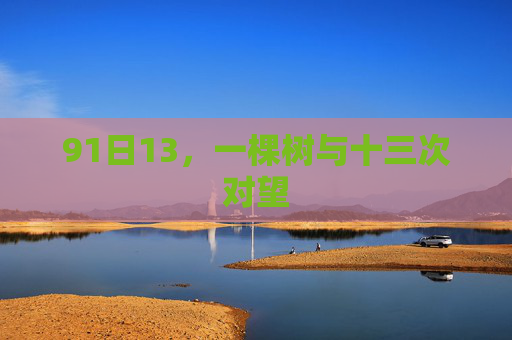 91日13，一棵树与十三次对望