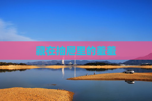 藏在抽屉里的羞羞