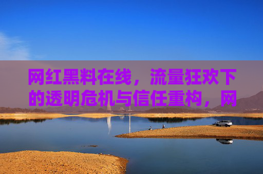 网红黑料在线,流量狂欢下的透明危机与信任重构,网红黑料风暴,流量狂欢下的透明危机与信任重构 网红黑料在线,流量狂欢下的透明危机与信任重构,网红黑料风暴,流量狂欢下的透明危机与信任重构