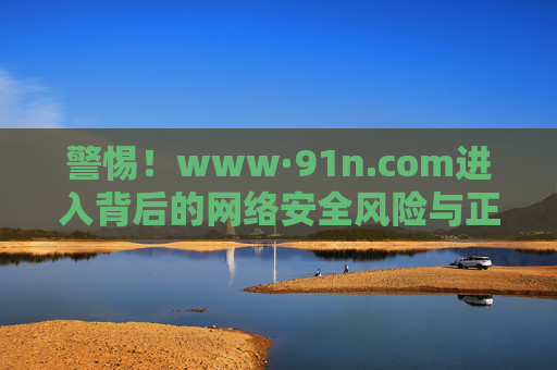 警惕!www·91n.com进入背后的网络安全风险与正确应对,警惕!访问www·91n.com的网络安全风险与正确应对 警惕!www·91n.com进入背后的网络安全风险与正确应对,警惕!访问www·91n.com的网络安全风险与正确应对