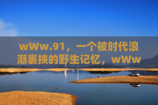 wWw.91,一个被时代浪潮裹挟的野生记忆,wWw.91,被时代浪潮裹挟的野生记忆 wWw.91,一个被时代浪潮裹挟的野生记忆,wWw.91,被时代浪潮裹挟的野生记忆