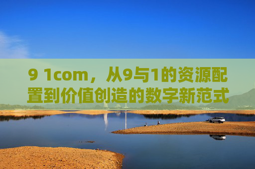 9 1com,从9与1的资源配置到价值创造的数字新范式 9 1com,从9与1的资源配置到价值创造的数字新范式