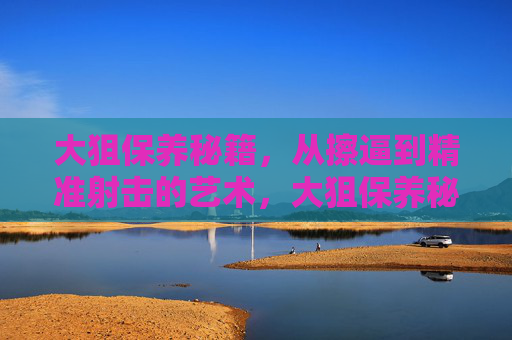大狙保养秘籍，从擦逼到精准射击的艺术，大狙保养秘籍，从擦拭到精准射击的艺术