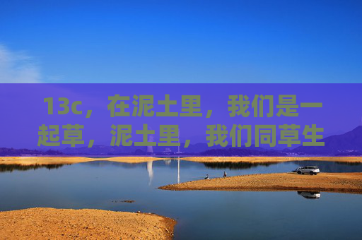 13c，在泥土里，我们是一起草，泥土里，我们同草生