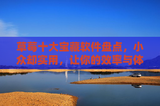 草莓十大宝藏软件盘点,小众却实用,让你的效率与体验UP!草莓十大小众实用软件盘点,效率体验UP! 草莓十大宝藏软件盘点,小众却实用,让你的效率与体验UP!草莓十大小众实用软件盘点,效率体验UP!