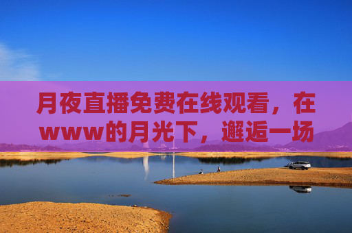 月夜直播免费在线观看,在www的月光下,邂逅一场不期而遇的温暖,月夜直播免费在线,月光下的温暖邂逅 月夜直播免费在线观看,在www的月光下,邂逅一场不期而遇的温暖,月夜直播免费在线,月光下的温暖邂逅