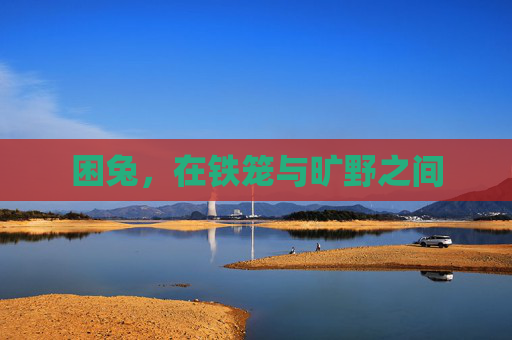 困兔,在铁笼与旷野之间 困兔,在铁笼与旷野之间