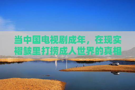 当中国电视剧成年,在现实褶皱里打捞成人世界的真相,中国电视剧成年,在现实褶皱里打捞成人真相 当中国电视剧成年,在现实褶皱里打捞成人世界的真相,中国电视剧成年,在现实褶皱里打捞成人真相
