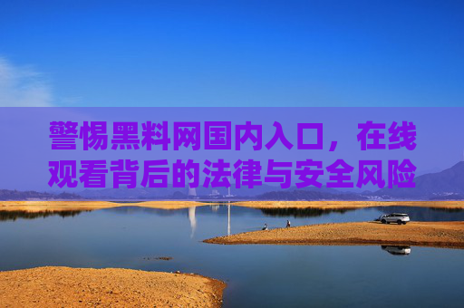 警惕黑料网国内入口,在线观看背后的法律与安全风险,警惕黑料网国内入口,在线观看的法律与安全风险 警惕黑料网国内入口,在线观看背后的法律与安全风险,警惕黑料网国内入口,在线观看的法律与安全风险