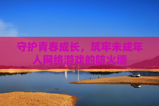 守护青春成长,筑牢未成年人网络游戏的防火墙 守护青春成长,筑牢未成年人网络游戏的防火墙