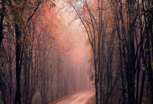 真实到窒息！LOL玩家最痛恨的队友行为图鉴