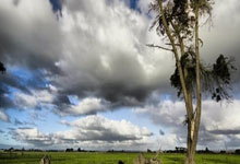 红警系列登陆Steam，重温即时战略黄金时代