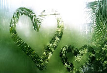 和平精英最强装备速成攻略，快速获取顶级装备制霸战场！