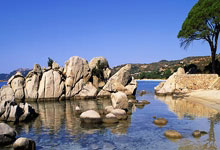 逆战猎场暴击机制详解，图解教程+实战技巧助你输出翻倍